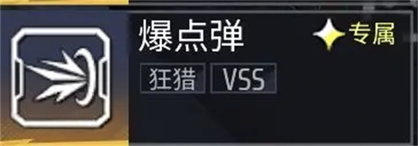 VSS的爆点弹