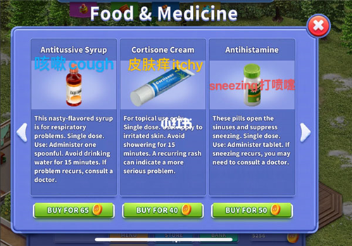 虚拟家庭3汉化版