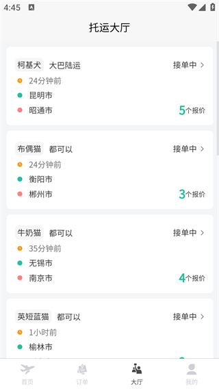 宠贝贝宠物托运平台