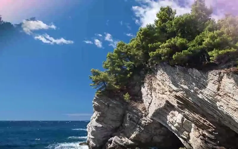 趣玩桌面壁纸2024