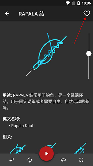 Knots 3D