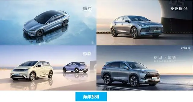 比亚迪海洋
