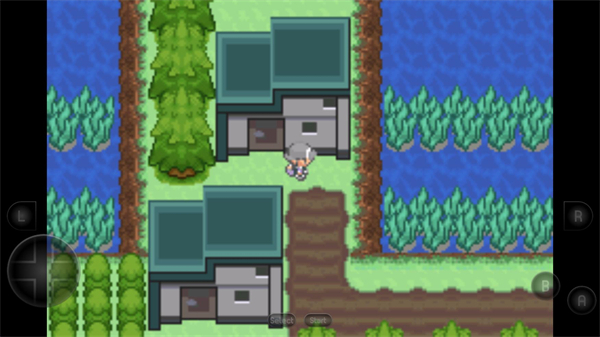 口袋妖怪生与死