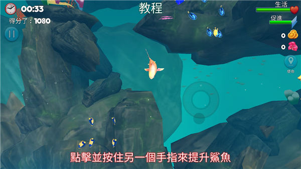 双头鲨游戏