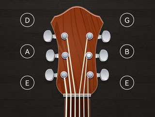 小熊调音器琵琶版