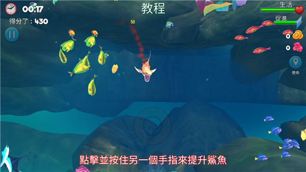 双头鲨游戏