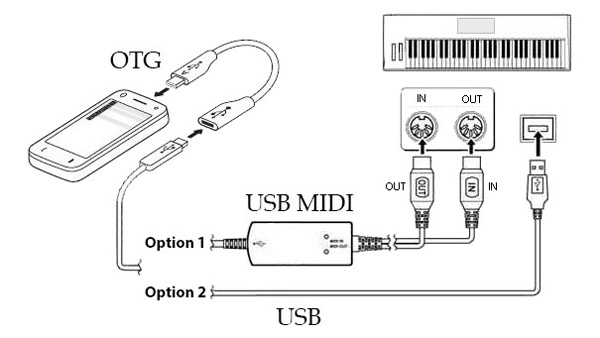 org电子琴汉化版