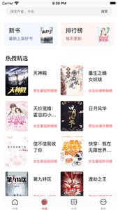 第二阅读器旧版