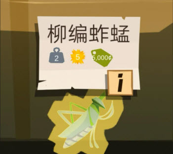 边境之旅国际服