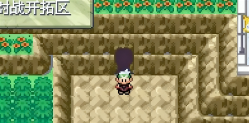 口袋妖怪永恒之沫金手指