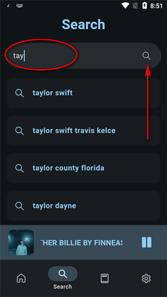 Musify音乐下载器