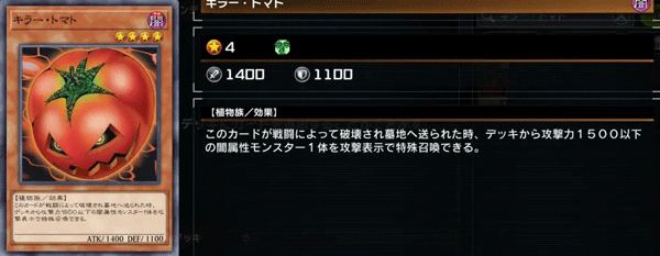 游戏王大师决斗国际服