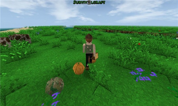 生存战争2.4中文版