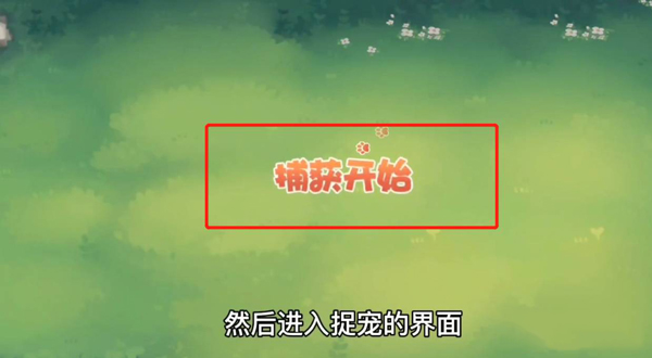 怎么抓宠物配图4