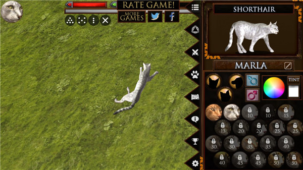 终极猫模拟器手机版