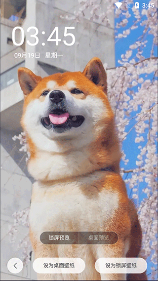 百变锁屏君酷安版