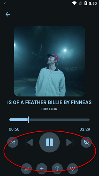 Musify音乐下载器