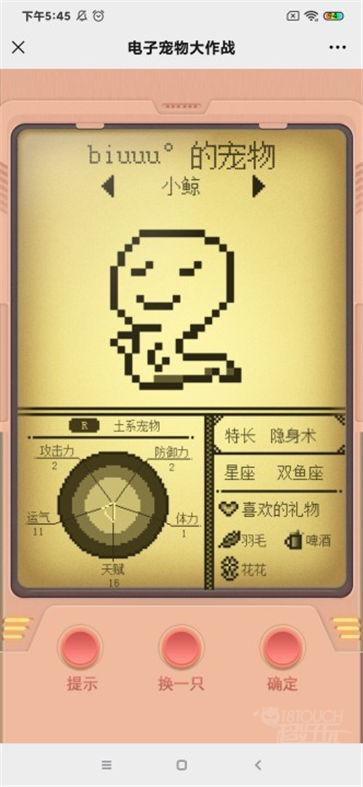 电子宠物大作战宠物信息详情