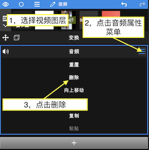 nodevideo专业正版