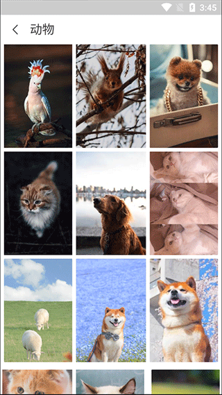 百变锁屏君酷安版