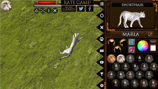 终极猫模拟器汉化版