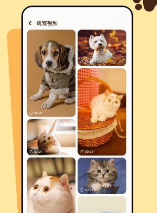 猫咪聊天翻译器