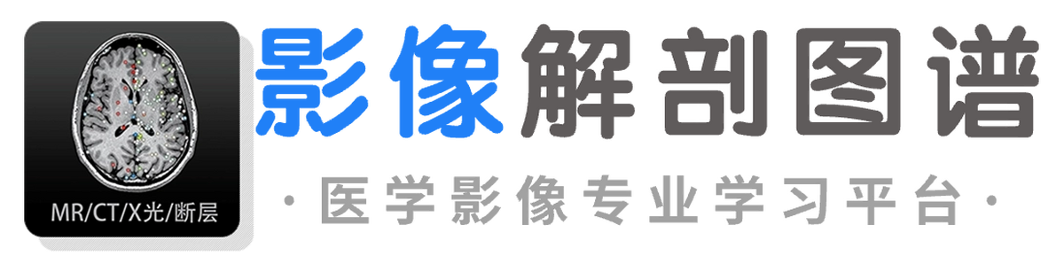 影像解剖图谱64位