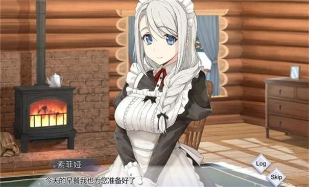 我與索菲亞的秘密中文版