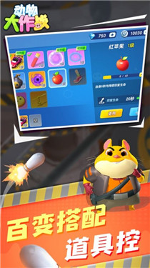 動(dòng)物大作戰(zhàn)貓鼠對(duì)決真實(shí)截圖