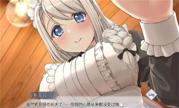 我與索菲亞的秘密中文版