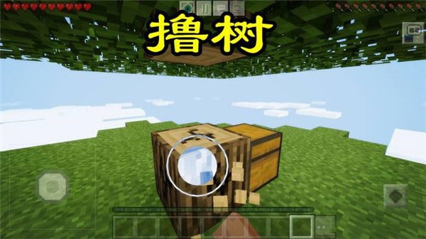 我的世界空岛生存