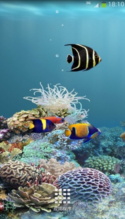 水族馆动态壁纸