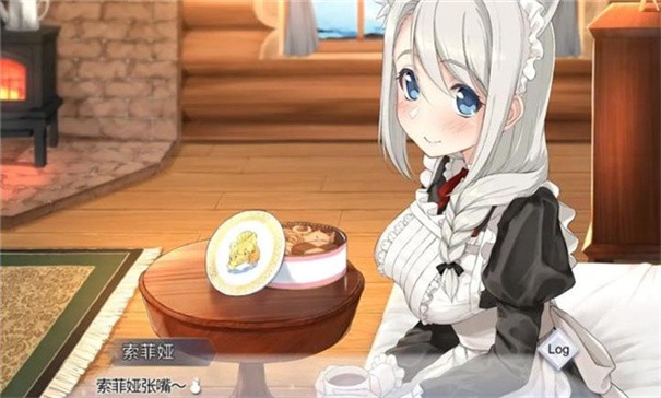 我與索菲亞的秘密中文版