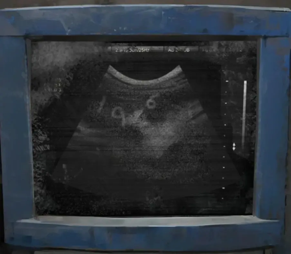 纸嫁衣8千子树游戏