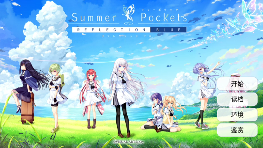 夏日口袋安卓直装版