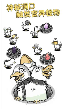 小鸡真奇怪最新版