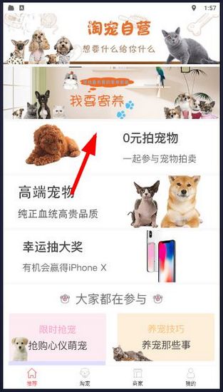 淘宠网怎么寄养宠物配图1