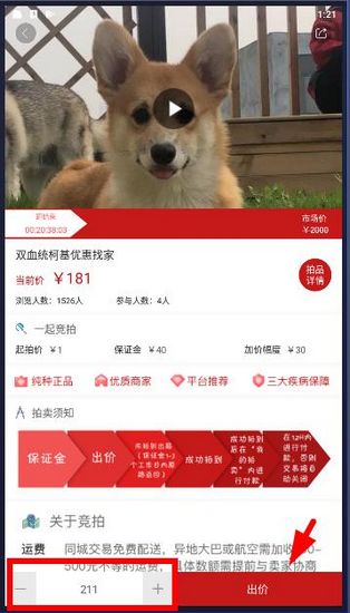 怎么拍卖宠物配图3