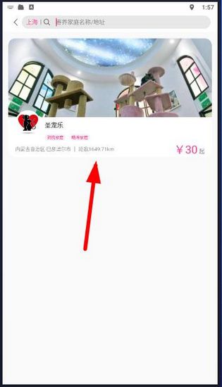 怎么寄养宠物配图2
