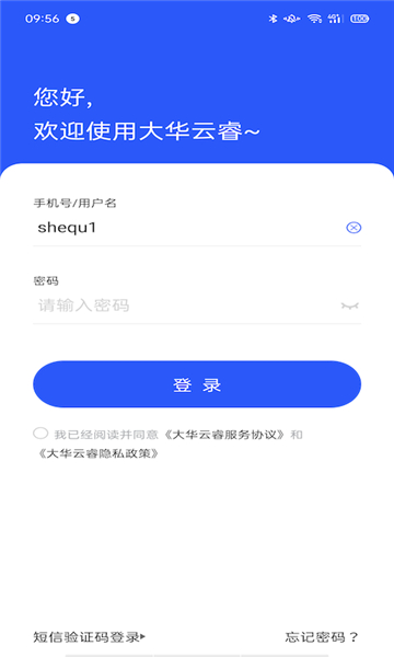 大华云睿