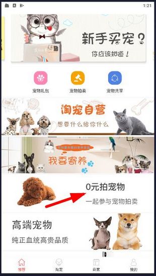 淘宠网怎么拍卖宠物配图1