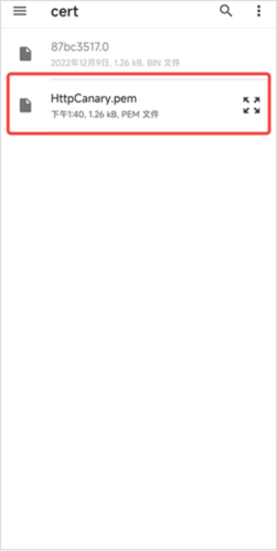 怎么安装证书配图6