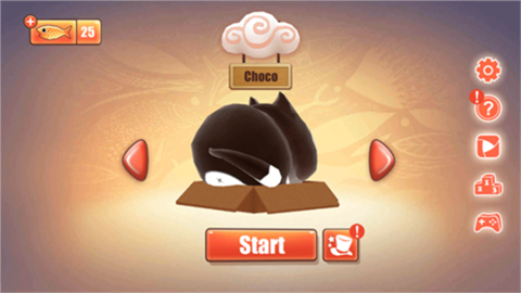 盒子里的猫正式版