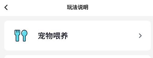 怎么喂养宠物配图1