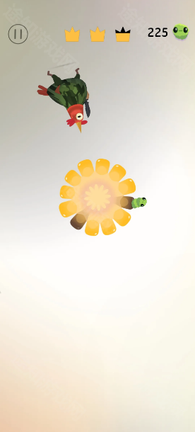 pigeon games(鸽游)