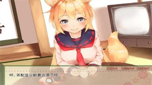 我与空狐的日常完整游戏最新