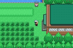 口袋妖怪空之花神