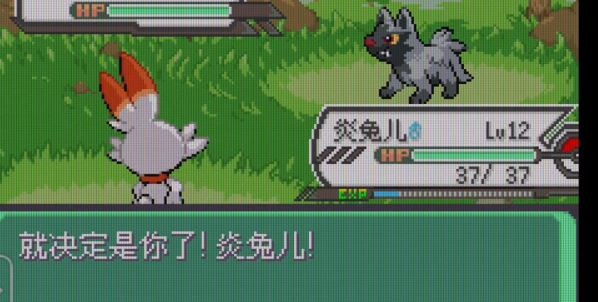 精灵宝可梦绿宝石