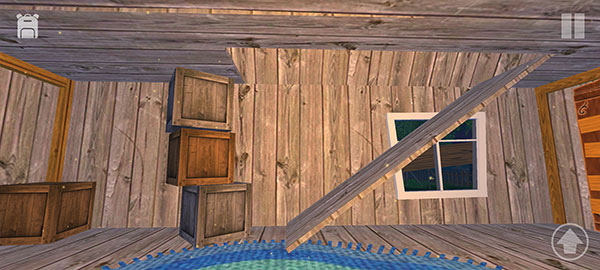 愤怒的男孩佩德罗他的朋友