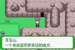 口袋妖怪空之花神